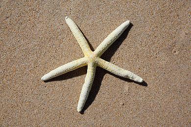 《DOTA2》TI13现场门票开启预售 主赛事9月举办